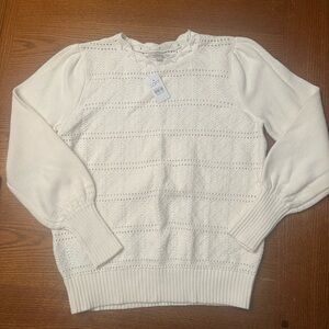 BNWT LOFT Size M Cream Women's Sweater